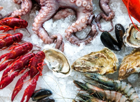 La Commerciale San Giulio | il nostro pesce gelo