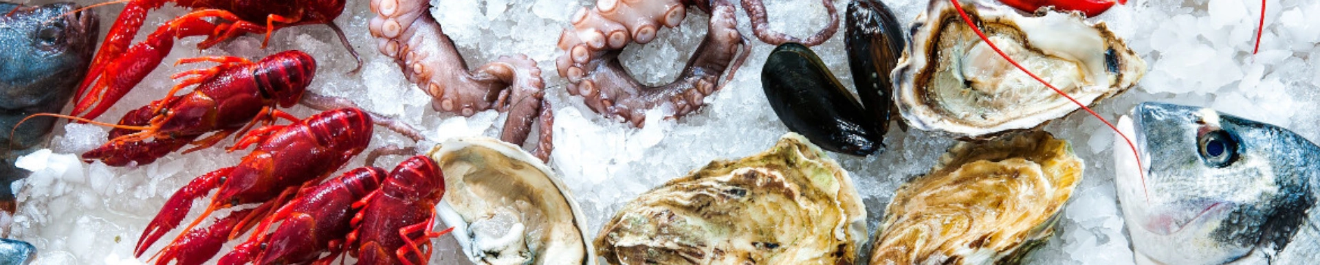 La Commerciale San Giulio | il nostro pesce gelo