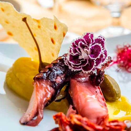 Piovra con purea di patate - Chef Lorenzo Quaranta - Hotel Milan Speranza au Lac